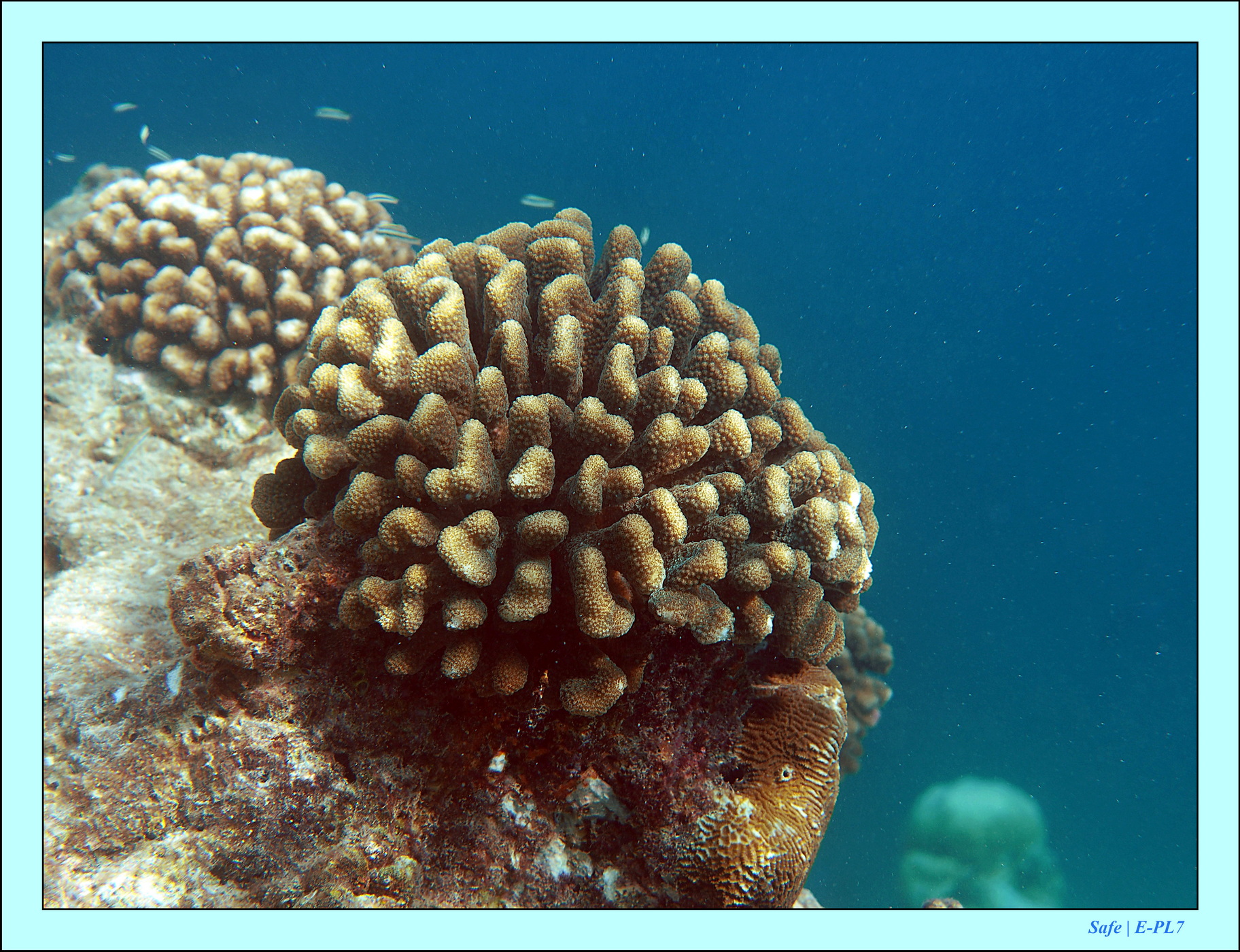 2023 - 07 - Sandies Bathala - 157